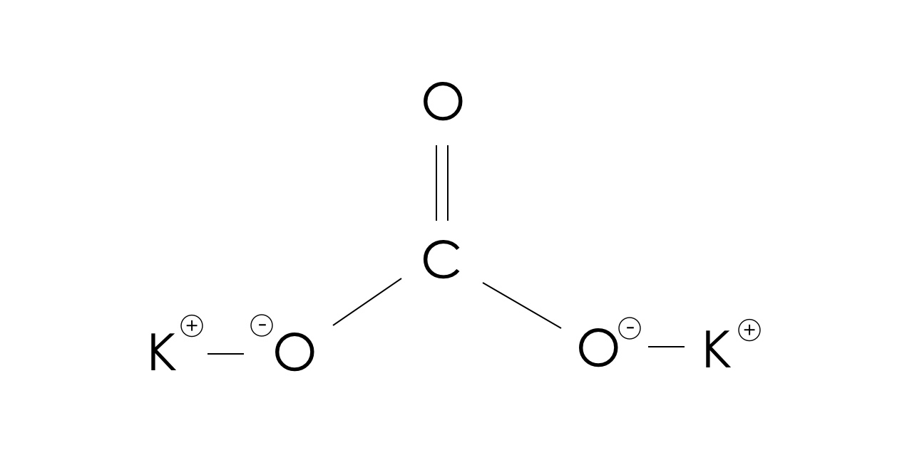  Potassium Carbonate & Sodium Bi-Carbonate Solution (Lye Water)  16.9 Fl Oz雪鹼水 : Health & Household